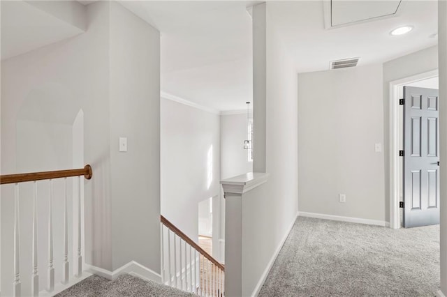 hall featuring ornamental molding and carpet floors