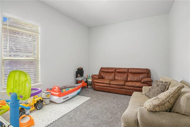living area with carpet flooring