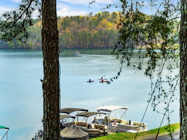 water view with a view of trees