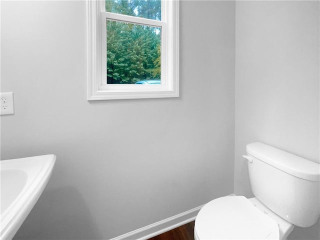 bathroom with hardwood / wood-style floors and toilet