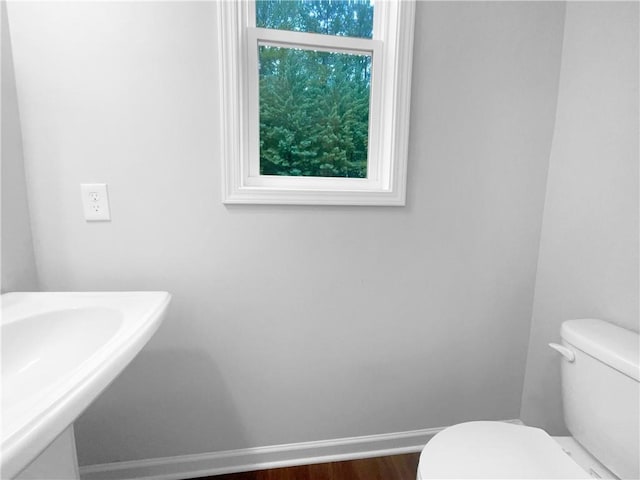 bathroom with wood-type flooring, toilet, and sink