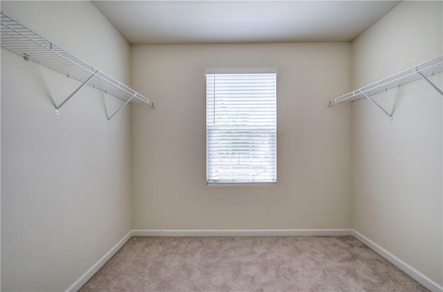 spacious closet featuring light colored carpet