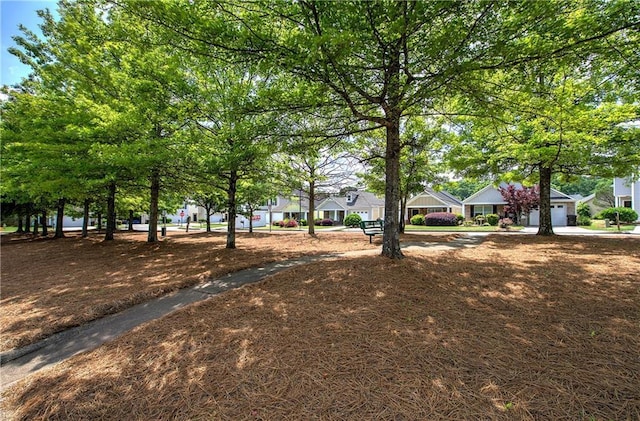 view of yard featuring an attached garage and driveway