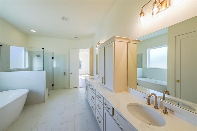 bathroom with separate shower and tub and vanity