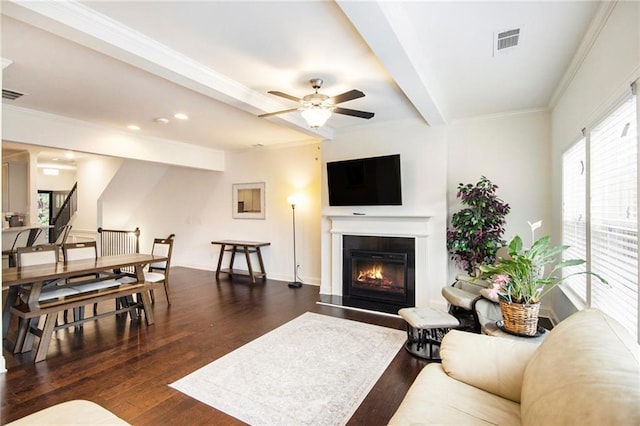 living room featuring beamed ceiling, ornamental molding, dark hardwood / wood-style floors, and ceiling fan