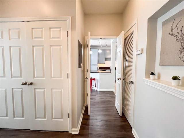 hallway featuring dark hardwood / wood-style flooring