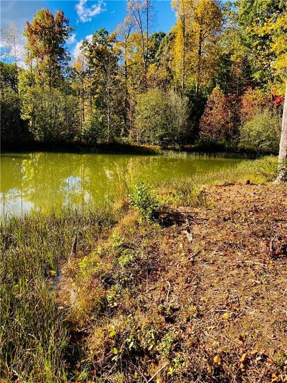 3 Long Mountain Trl, Cleveland GA, 30528 land for sale