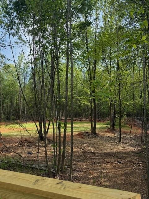 332 Dewaters Rd, Commerce, GA 30529 - view of nature