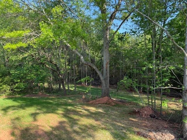 332 Dewaters Rd, Commerce, GA 30529 - view of grassy yard