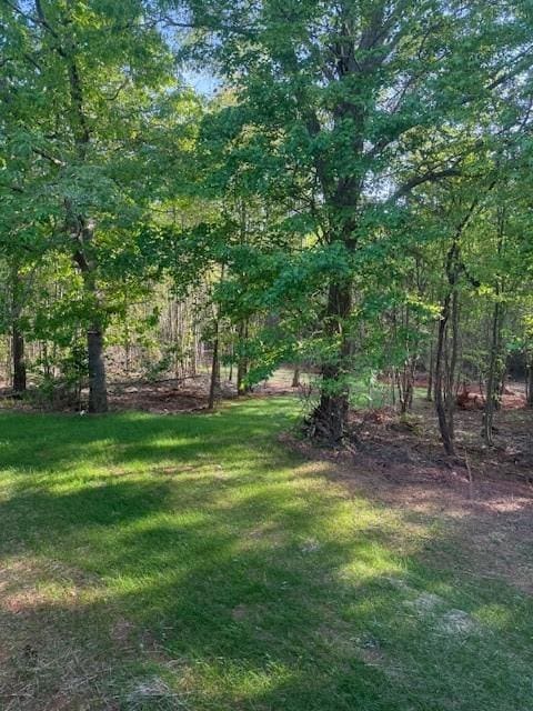 332 Dewaters Rd, Commerce, GA 30529 - view of grassy yard