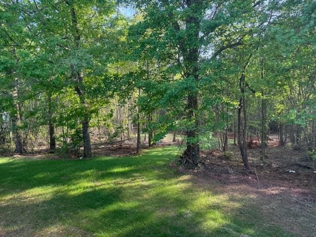 332 Dewaters Rd, Commerce, GA 30529 - view of green lawn featuring a wooded view