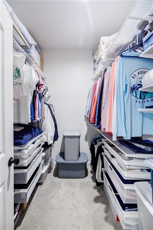 spacious closet featuring carpet flooring