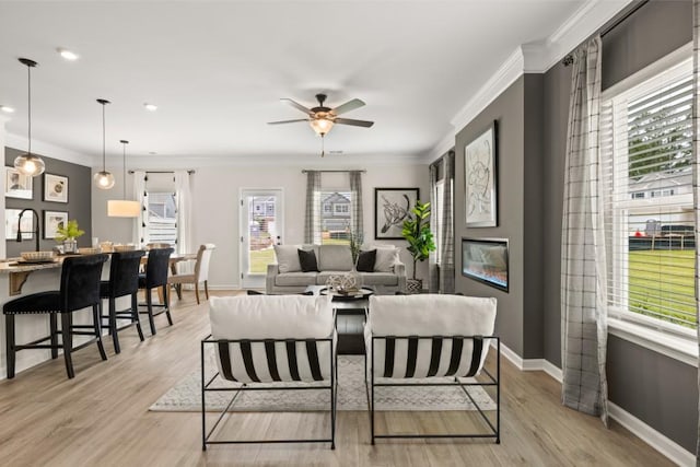 dining area with ceiling fan, ornamental molding, and light hardwood / wood-style flooring