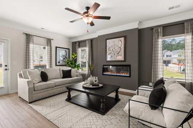 living room with ornamental molding, ceiling fan, and light wood-type flooring