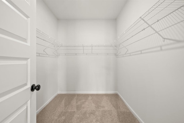 walk in closet featuring light carpet