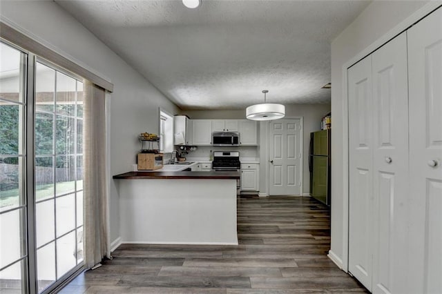 5385 Spotted Fawn Ct, Suwanee, GA 30024 - kitchen with stainless steel appliances, a textured ceiling, a peninsula, white cabinetry, and dark wood-type flooring