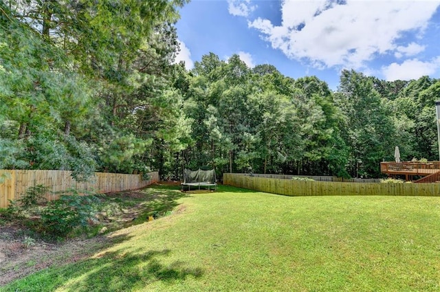 5385 Spotted Fawn Ct, Suwanee, GA 30024 - fenced backyard with a trampoline