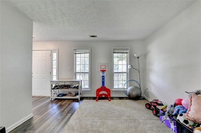 5385 Spotted Fawn Ct, Suwanee, GA 30024 - recreation room with wood finished floors and a textured ceiling