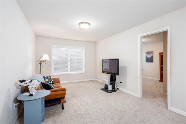 637 Little Bear Loop, Canton, GA 30114 - sitting room with carpet floors and baseboards