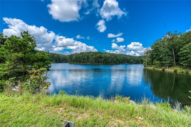 637 Little Bear Loop, Canton, GA 30114 - water view with a forest