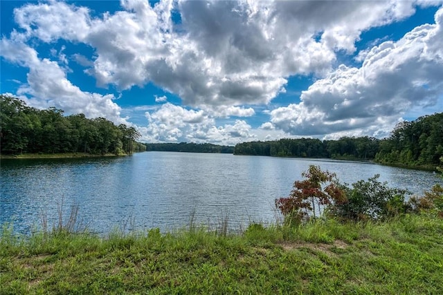 637 Little Bear Loop, Canton, GA 30114 - water view featuring a heavily wooded area