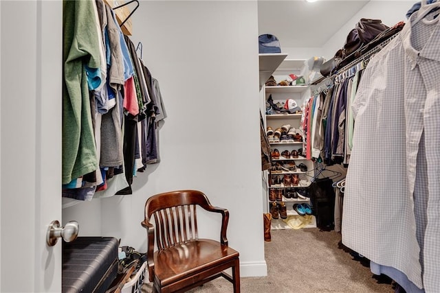 3108 Huntington Pl, Milton, GA 30004 - walk in closet with carpet flooring