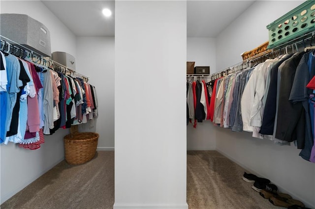 22 Mossy Oaks Ln NE, Rome, GA 30165 - walk in closet with carpet floors