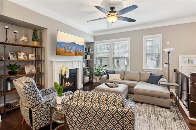 living room featuring a warm lit fireplace, ceiling fan, ornamental molding, and wood finished floors