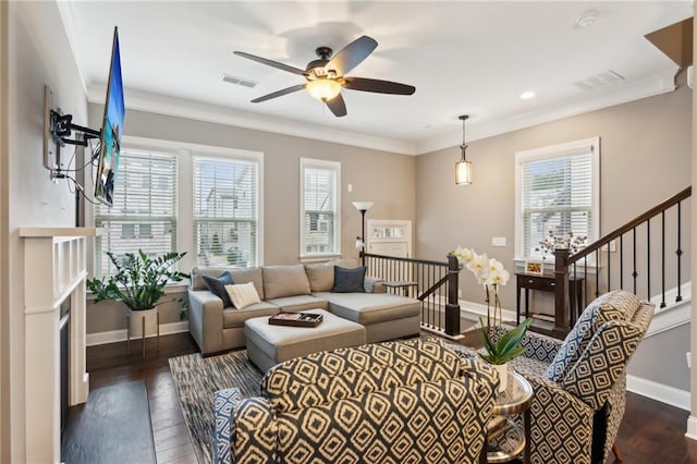 living room featuring dark wood finished floors, visible vents, and crown molding