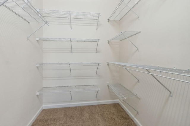 walk in closet with carpet flooring