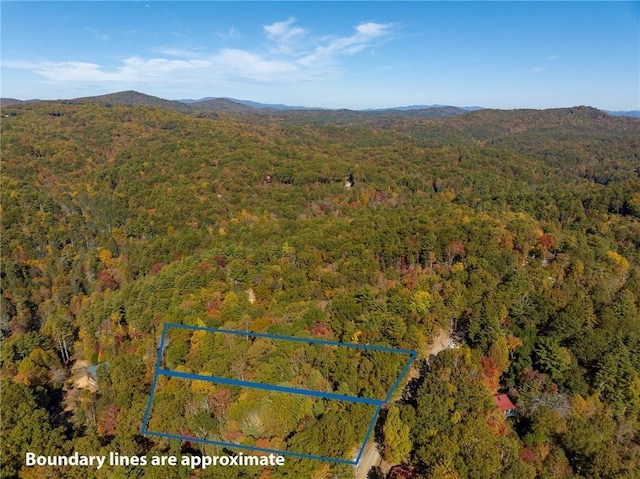 0 Mountain View Cir, Blue Ridge GA, 30513 land for sale