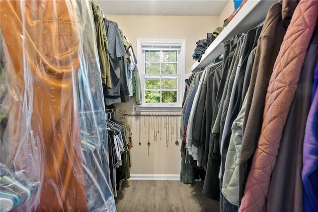 4131 N Gloucester Pl, Atlanta, GA 30341 - spacious closet with wood finished floors