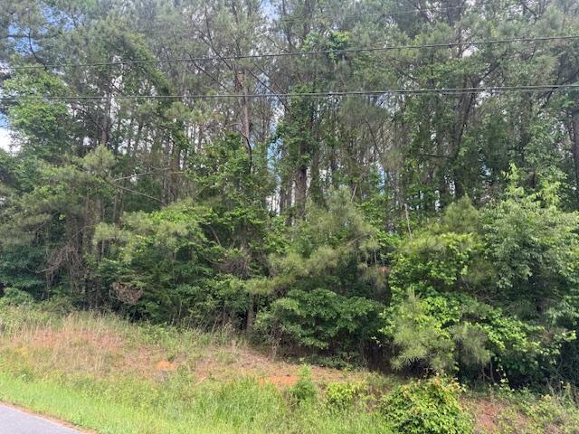 0 Marvin Ave, Summerville, GA 30747