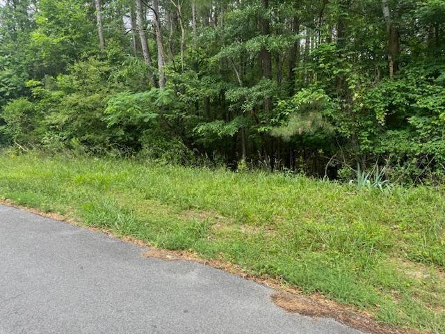 0 Marvin Ave, Summerville, GA 30747