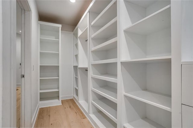 walk in closet with light wood-type flooring