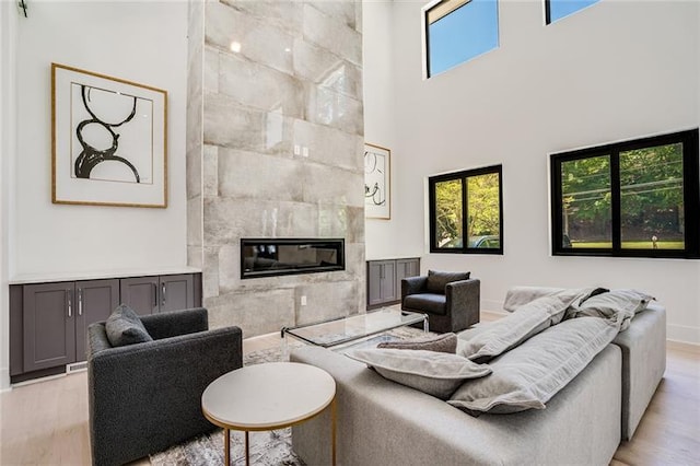 living room featuring a fireplace and light wood-type flooring