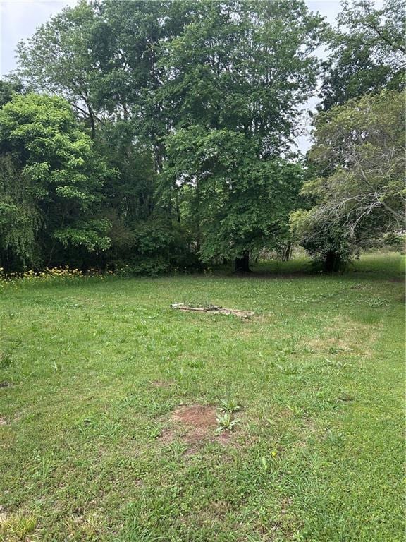 209 Trade Way, Dalton, GA 30721 - view of yard