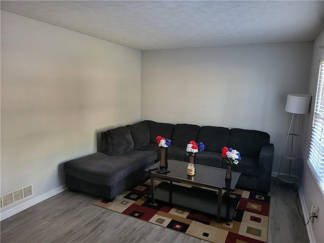 living room featuring wood-type flooring and a textured ceiling