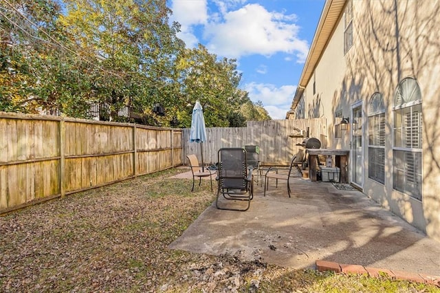 view of yard with a patio area