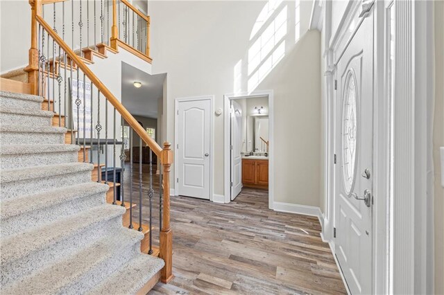 entryway featuring wood-type flooring and a towering ceiling