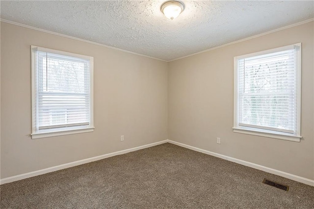 carpeted spare room with a textured ceiling and a wealth of natural light