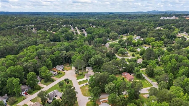 4255 Hidden Meadow Cir, Sugar Hill, GA 30518 - aerial view of a forest