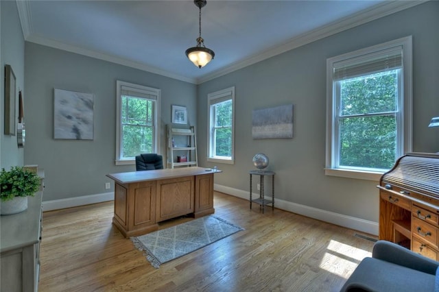 office space featuring crown molding, a wealth of natural light, and light hardwood / wood-style floors