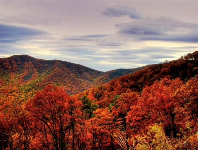 property view of mountains