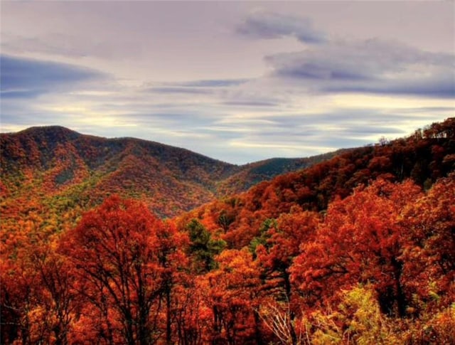 view of mountain feature