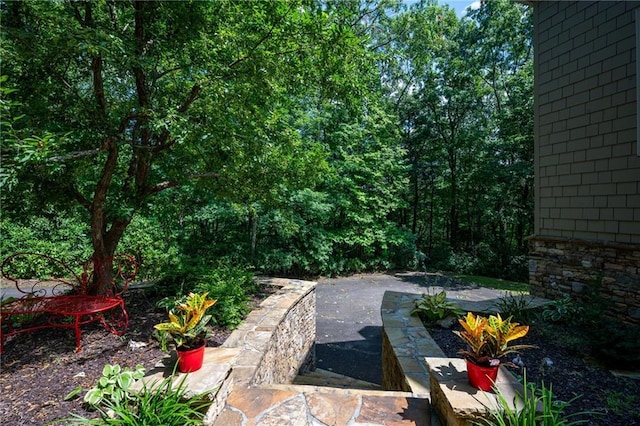 view of yard featuring a patio