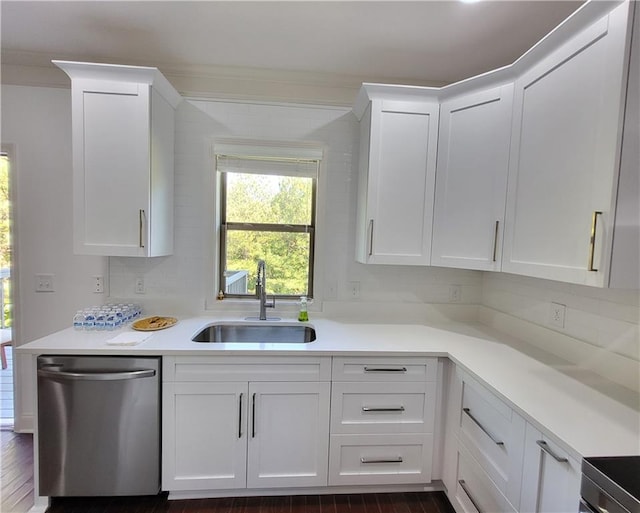 kitchen featuring white cabinets, sink, stainless steel dishwasher, and dark hardwood / wood-style flooring