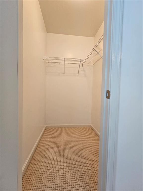 spacious closet featuring light colored carpet