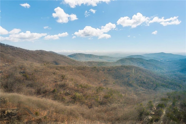 6354 Huckleberry Trl, Jasper, GA 30143