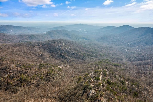 6354 Huckleberry Trl, Jasper, GA 30143